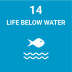 life below water