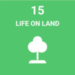 life on land