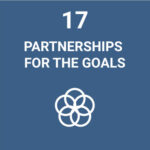 partnerships for the goals