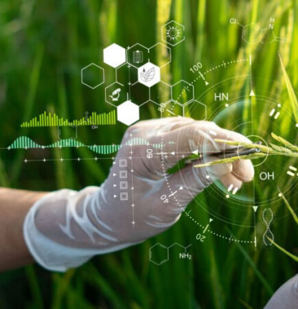 crop nutrition