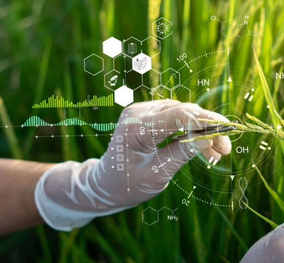 crop nutrition