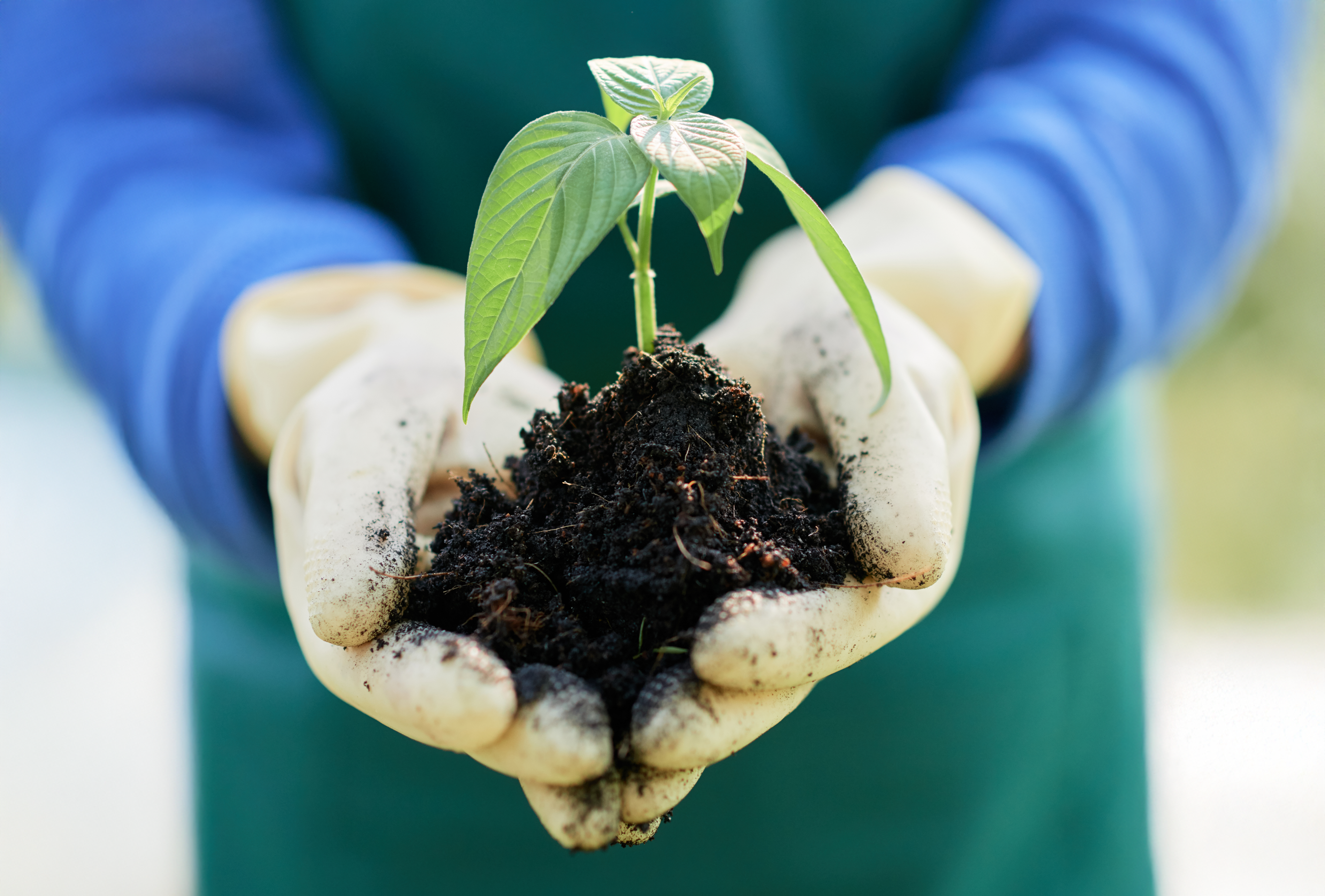 BioOrganic