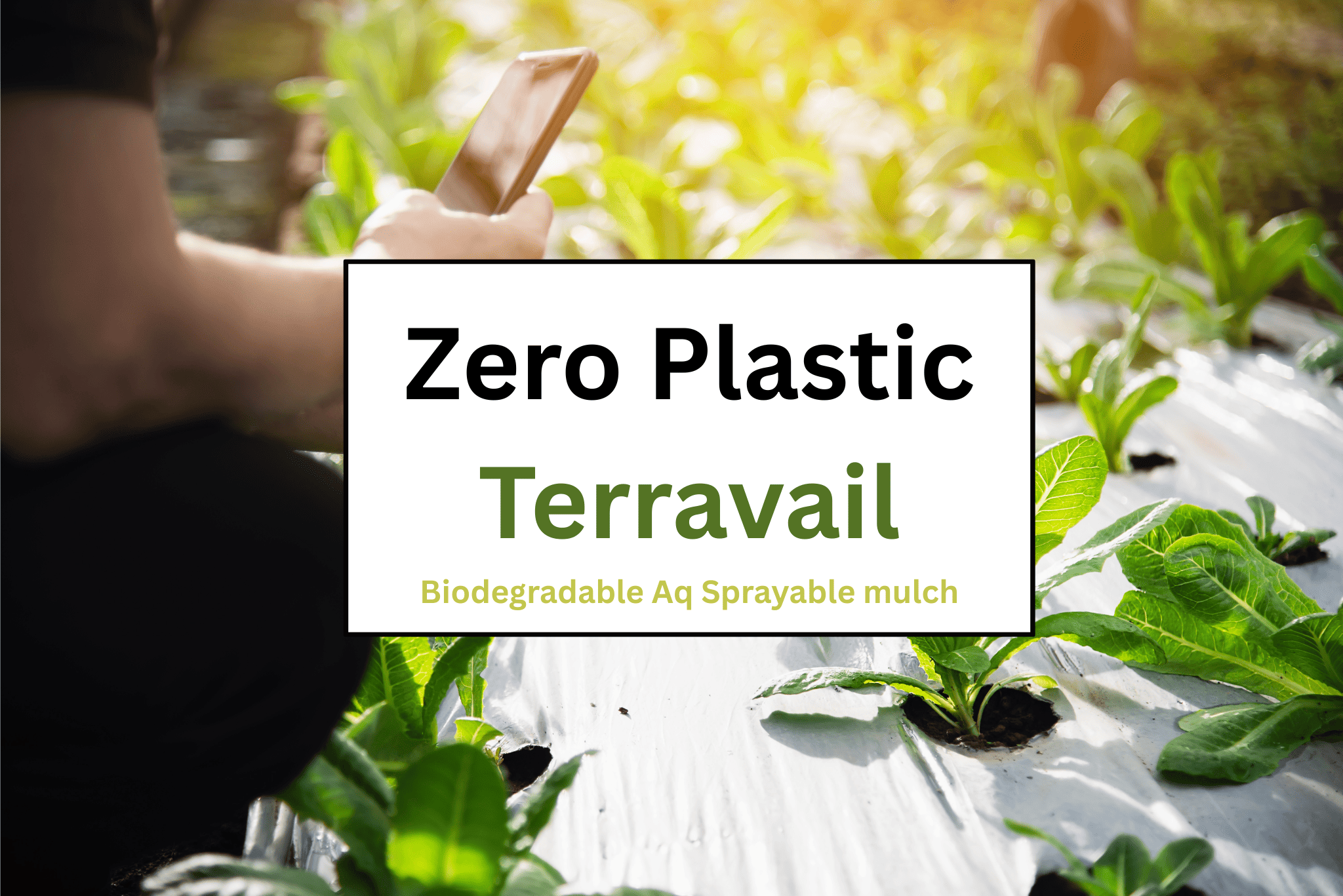 terravail