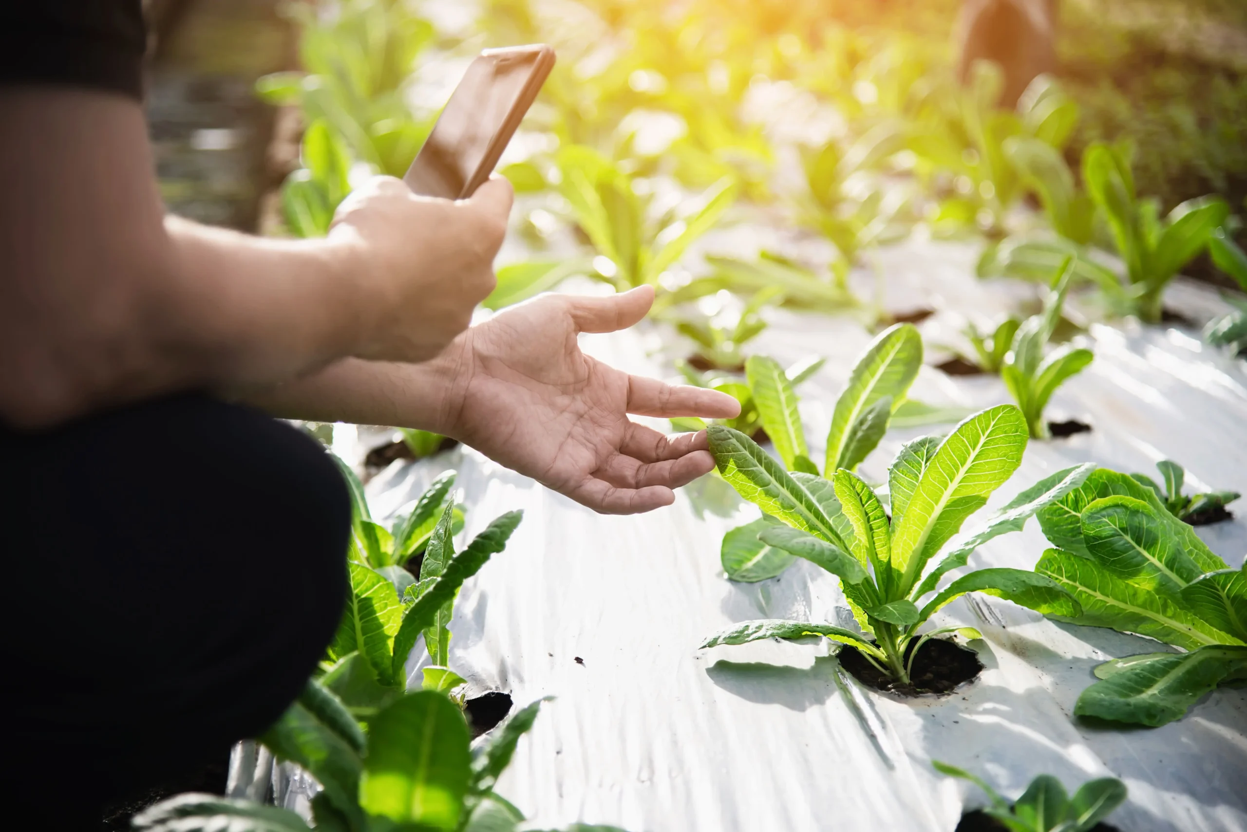 protecting soil, powered by technology